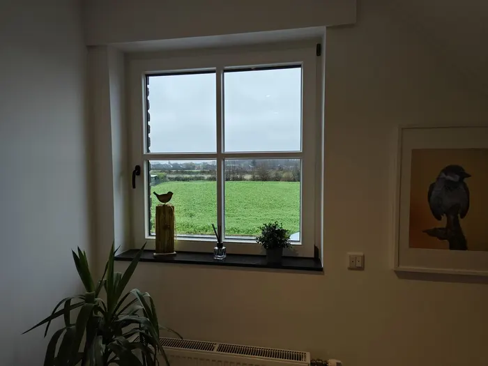 Blick aus dem Fenster des Ferienhauses Am Pannofen auf die angrenzende Wiese