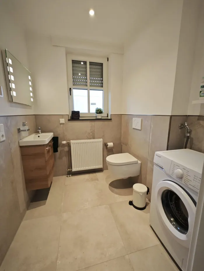 Gäste-WC mit Waschmaschine im Ferienhaus Am Pannofen