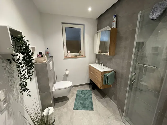 Badezimmer mit WC, Waschtisch und Dusche in der Ferienwohnung Friedrich-Spee Erdgeschoss