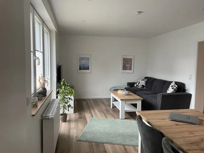 Wohnbereich mit Teppich und großen Fenstern in der Ferienwohnung Friedrich-Spee Erdgeschoss