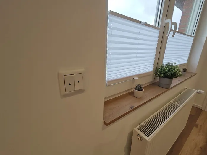 Fensterbank mit Pflanze über dem Heizkörper in der Ferienwohnung Friedrich-Spee Obergeschoss